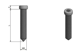 ROCA silindrikruvi M5x38mm CA-103 südamikule