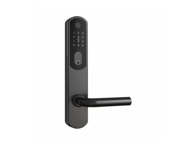 JASA lukukomplekt 60/307/20 ovaal südamikule, RST must, IP65