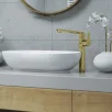 DEANTE valamu PEONIA, 350x550x145mm, tööpinnale paigaldadav, keraamiline, valge