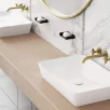 DEANTE vannitoa segisti TEMISTO, seinale kinnitatav, roostevaba teras, messing