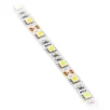 GTV LED valgusriba 5050 300LED IP20 14.4W/m, 10mm külm 6500k 5m/rull
